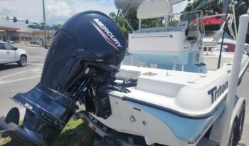 2006 Triton Boats LTS190